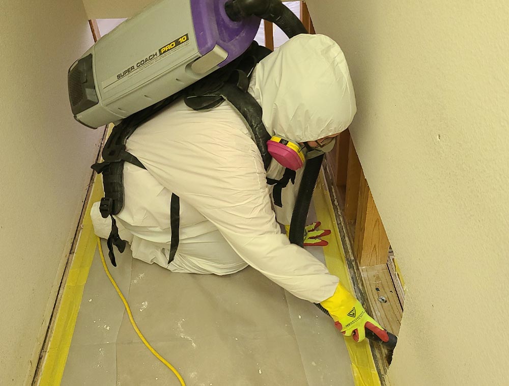 Asbestos Removal Waterloo Restoration