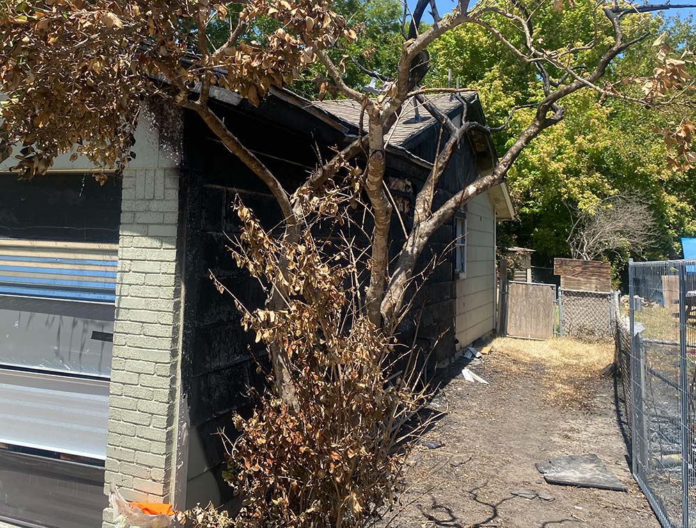 Tree Removal Waterloo Restoration
